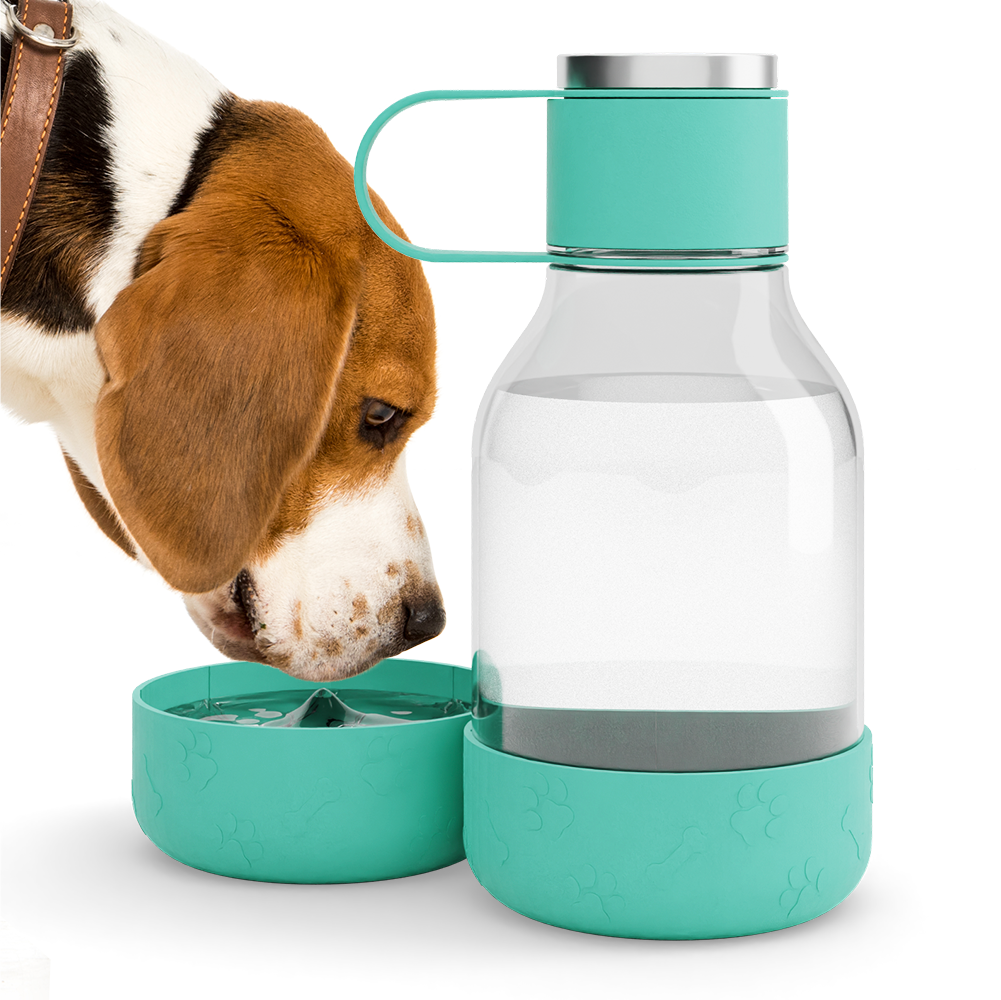 Asobu Dog Bowl Bottle Lite SalonCentric