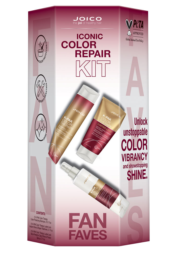 Iconic Color Repair Kit