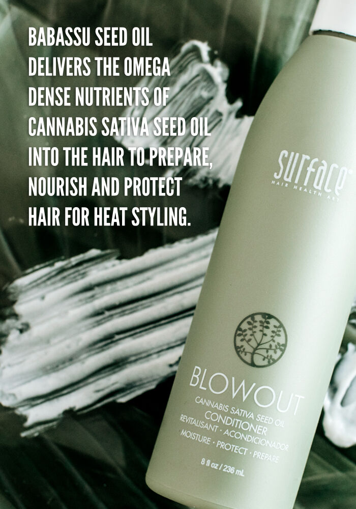 Surface Blowout Conditioner SalonCentric