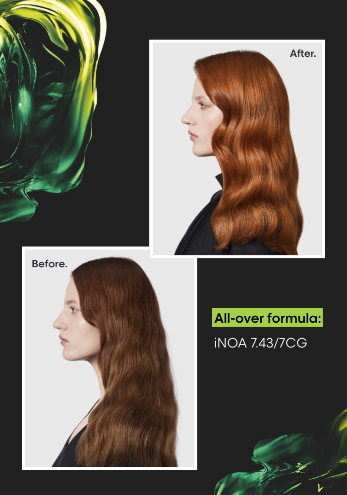 L'Oréal Professionnel NEW! iNOA No Ammonia Permanent Haircolor