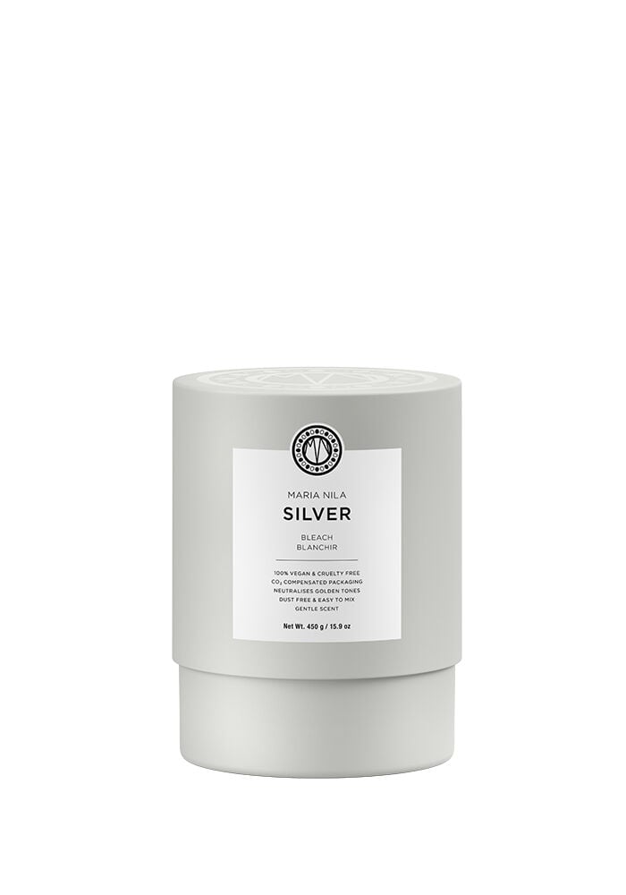 Bleach Silver