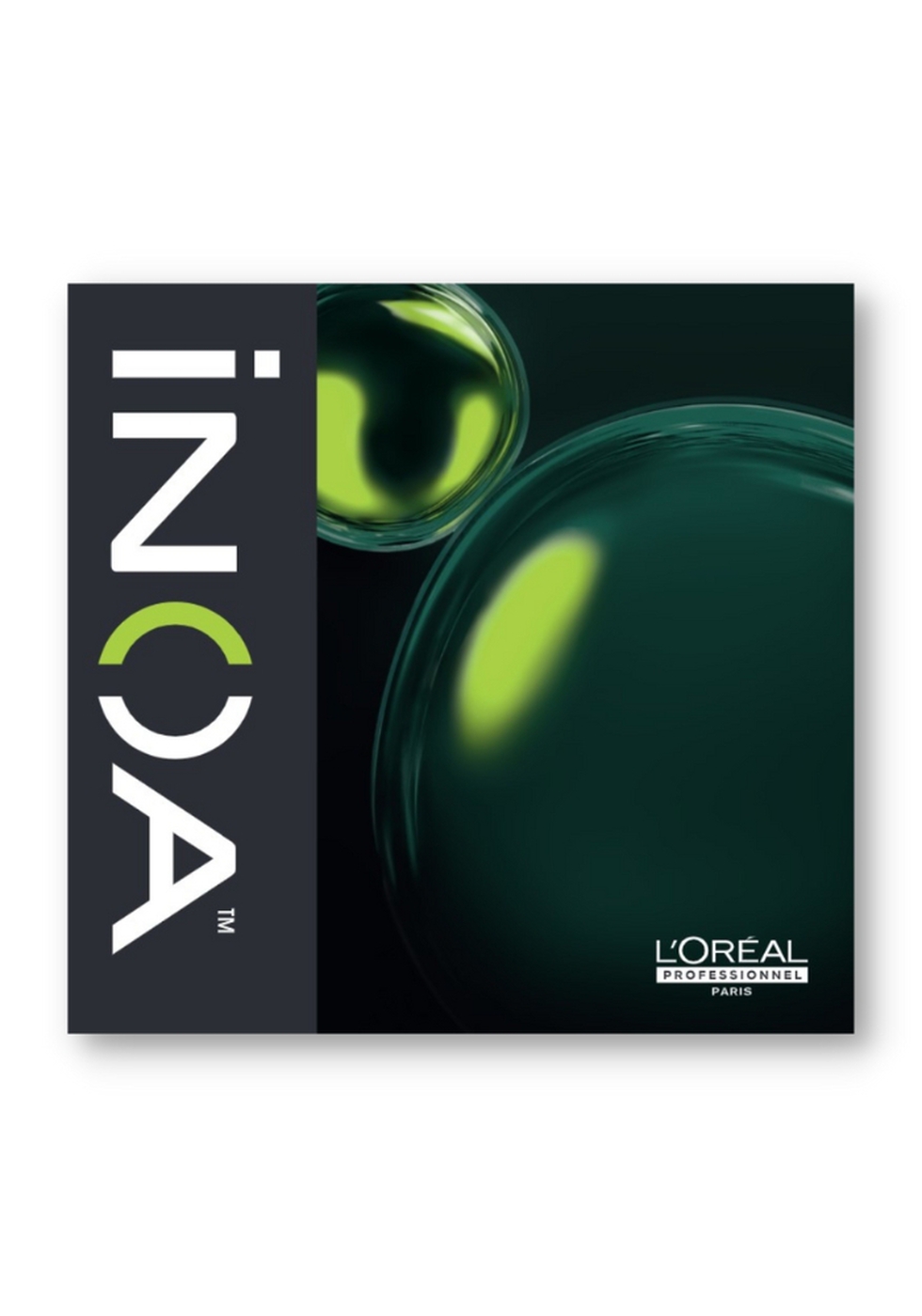 L'Oréal Professionnel iNOA Permanent Haircolor Swatch Book